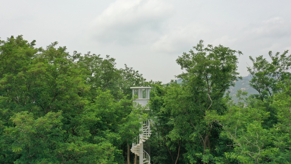 mr wangs observation tower china by atelier scale