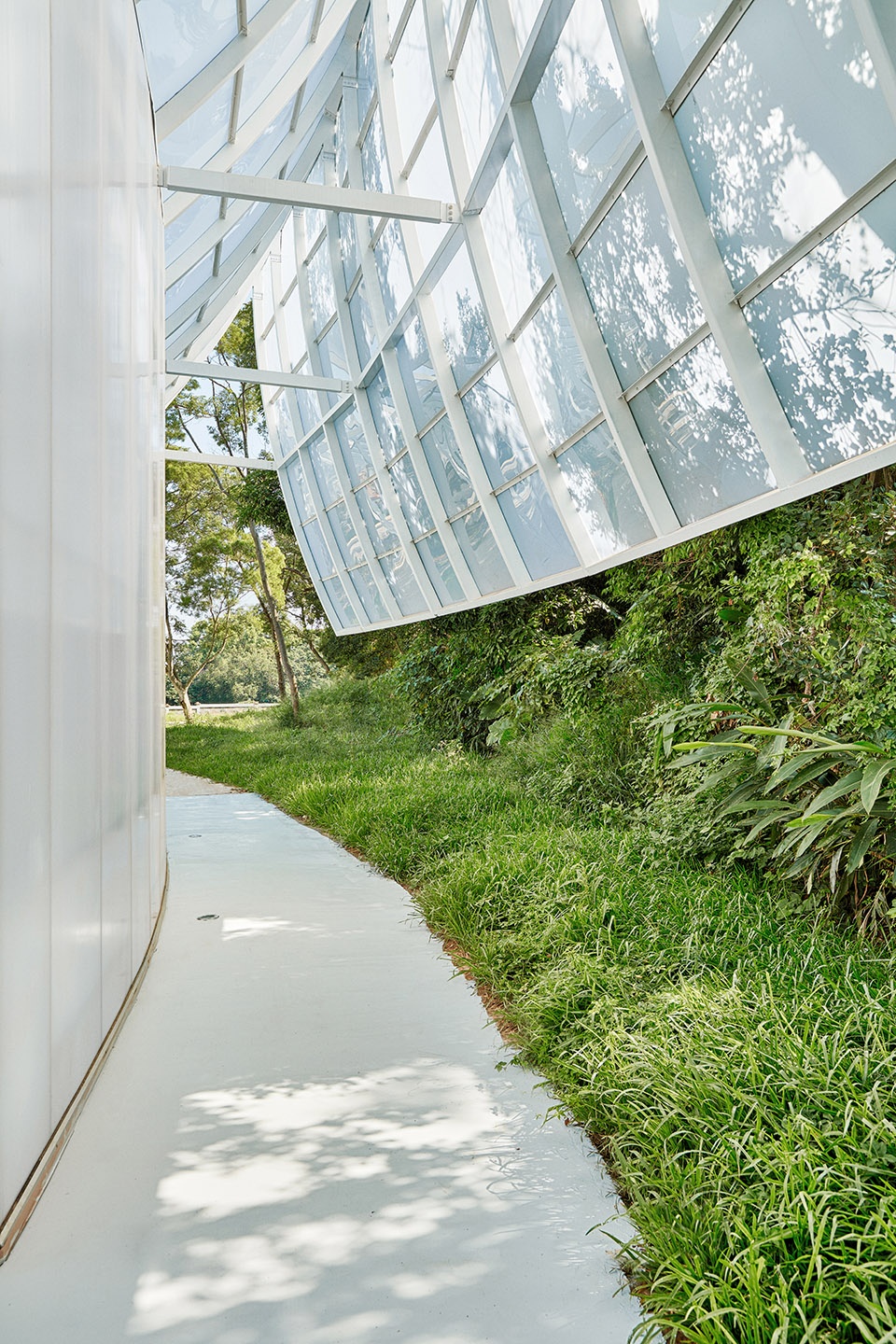 Ripple Greenhouse fieldvo