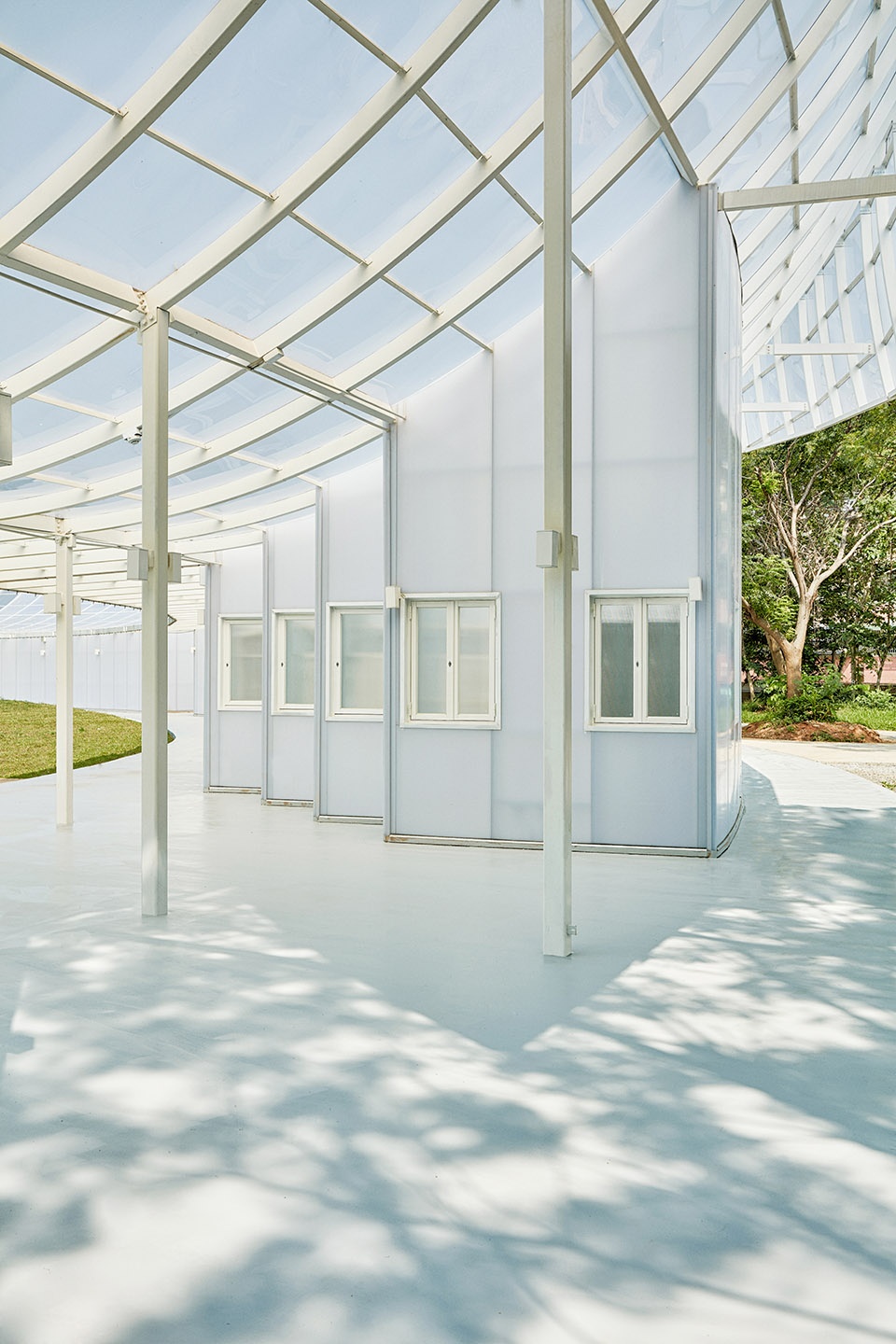 Ripple Greenhouse fieldvo