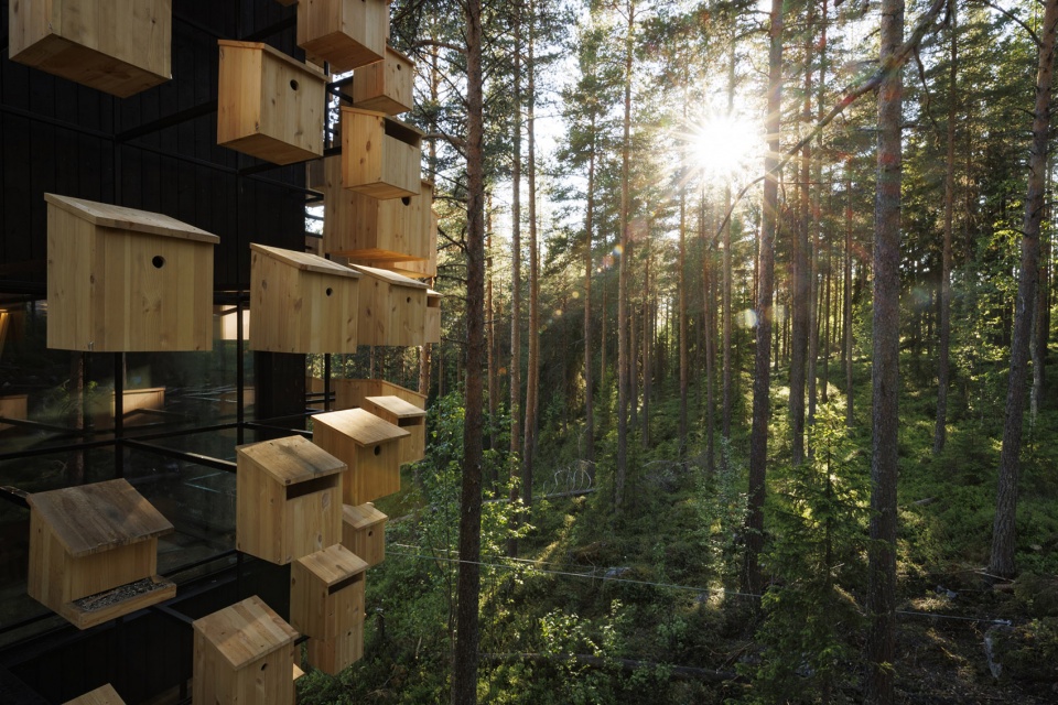 biosphere at treehotel sweden by big