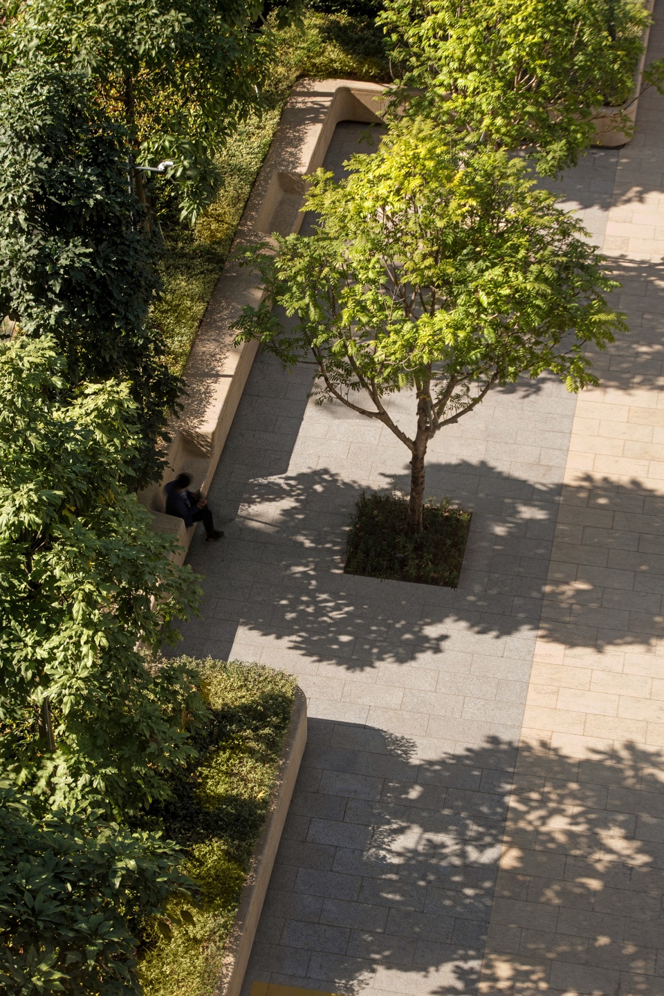 hony tower landscape design by aspect studios