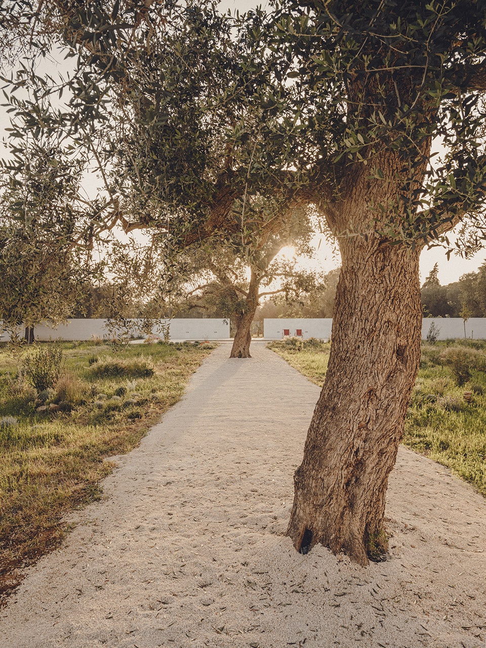 Borgo Gallana Studio Andrew Trotter