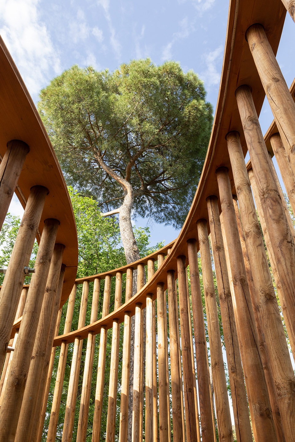 pavilion lets play rome by dream
