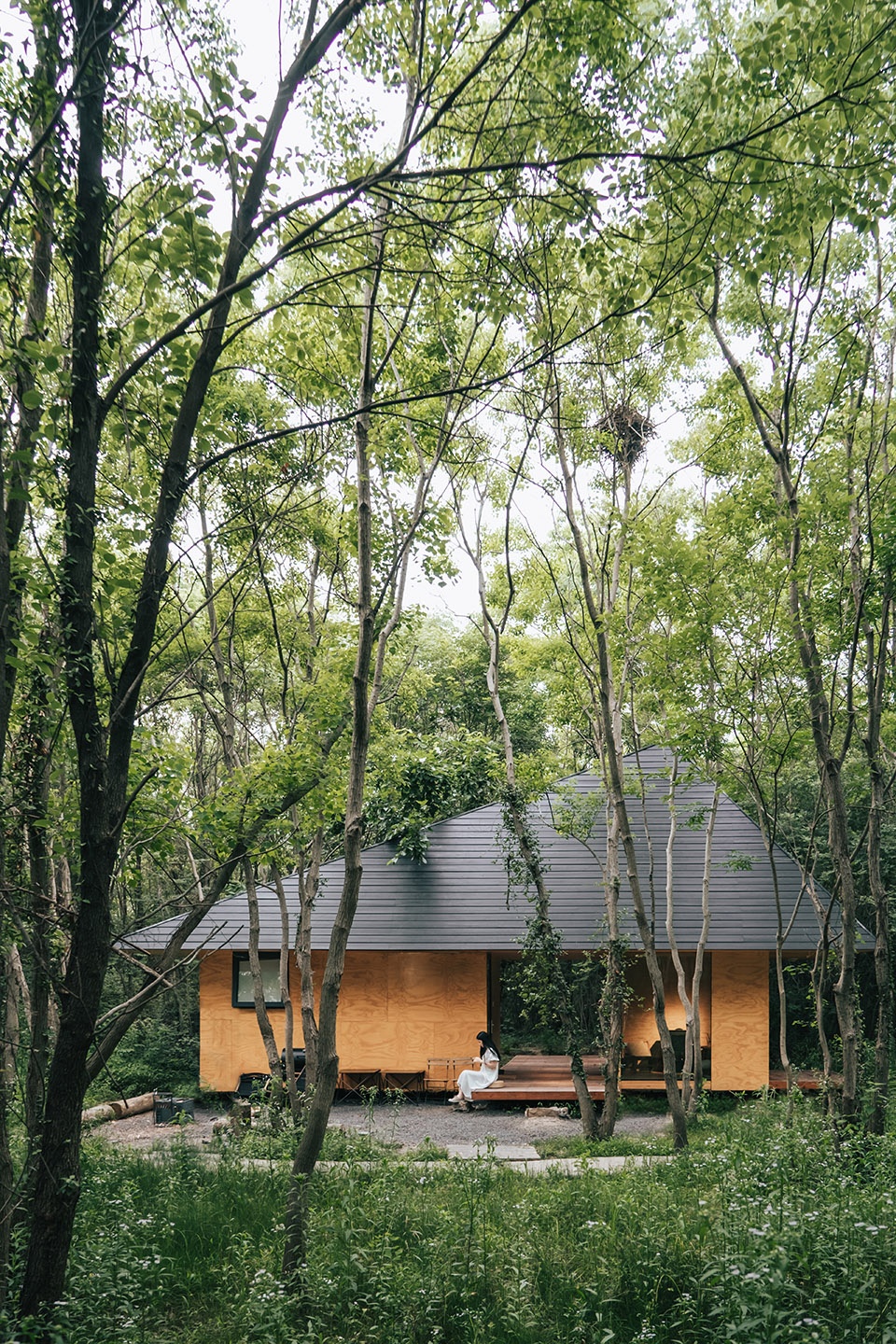 Wild Home Wiki World
