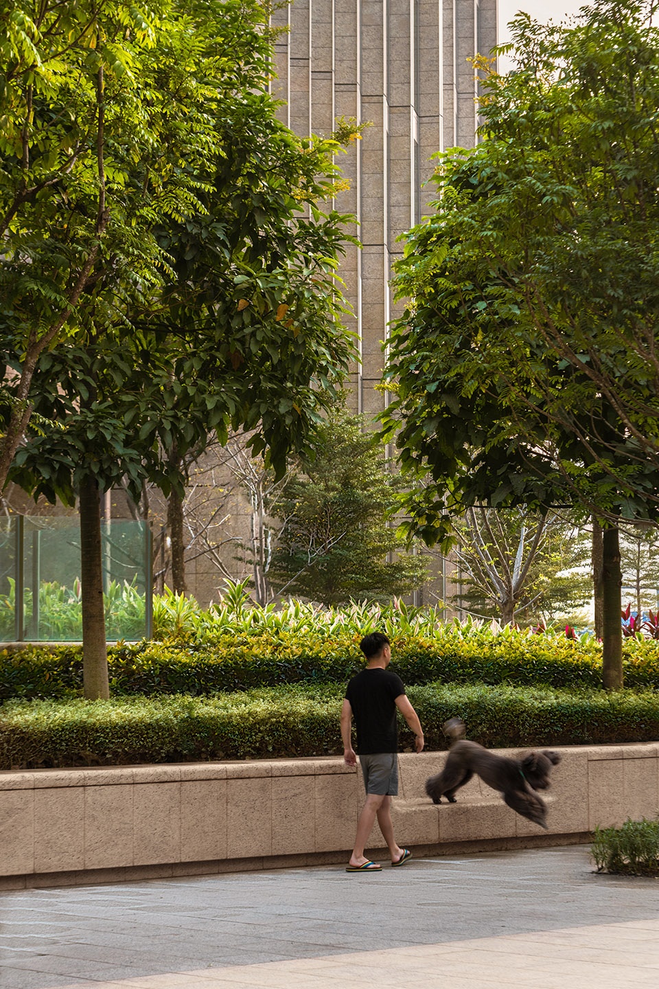 hony tower landscape design by aspect studios