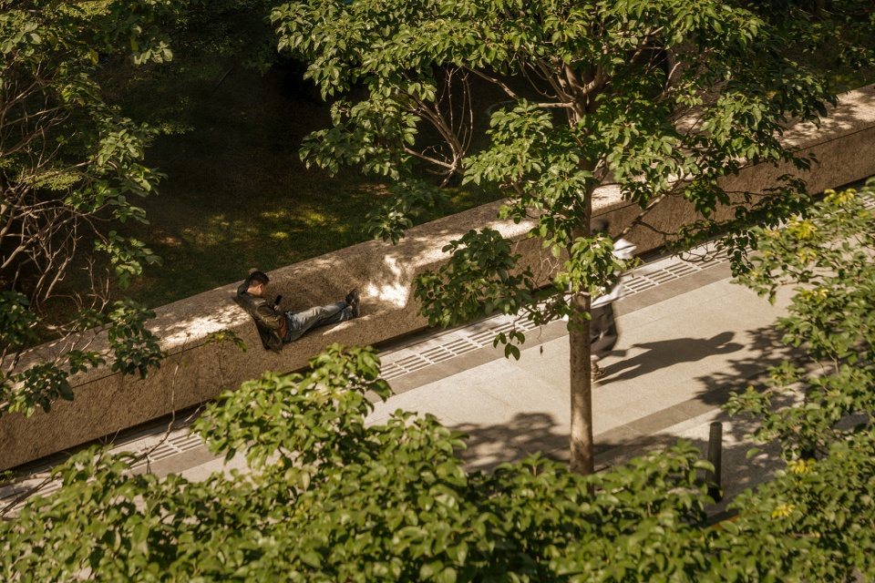 hony tower landscape design by aspect studios