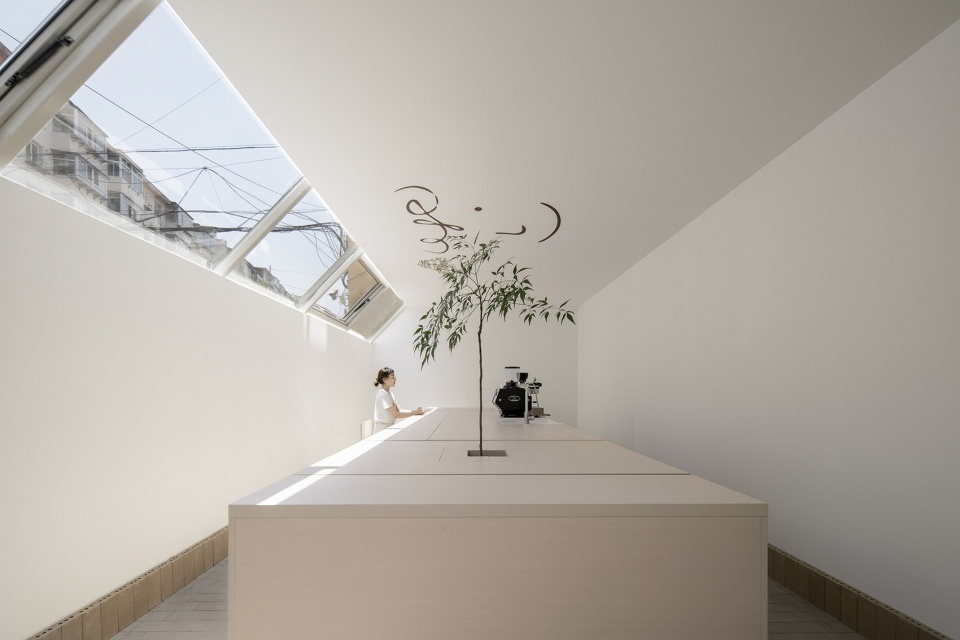 fatface 3 0 coffee shop by cabbage design