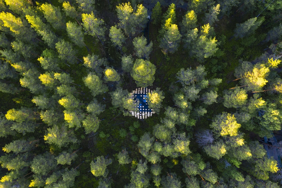 biosphere at treehotel sweden by big