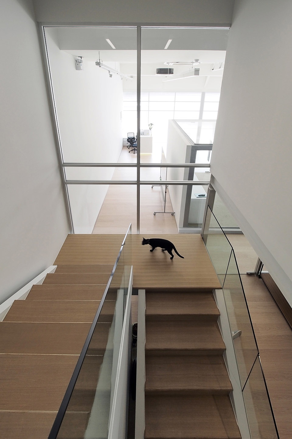 6 office bangkok by aswa