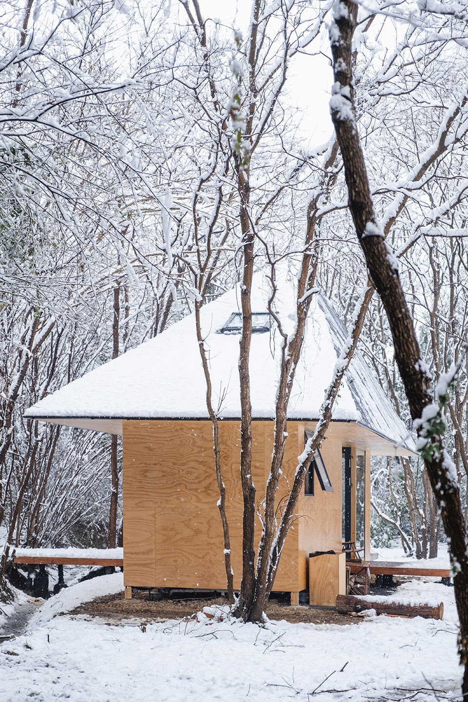 Wild Home Wiki World