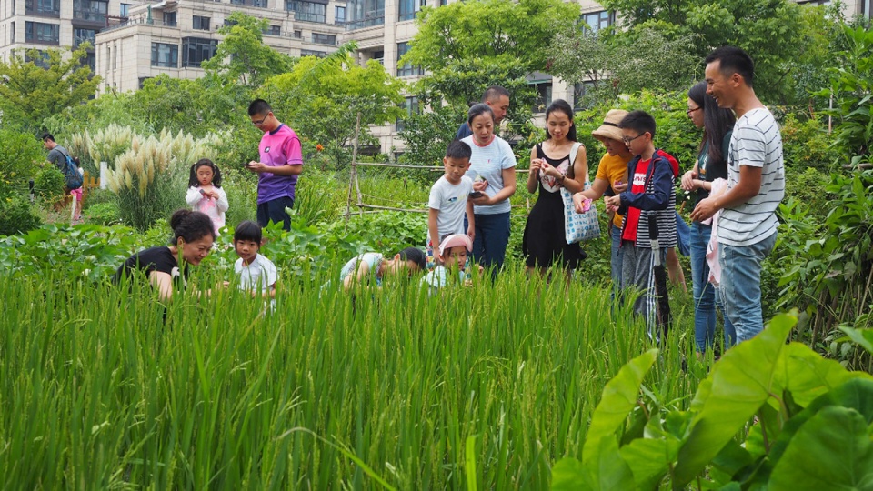 rumble community garden liu yuelai