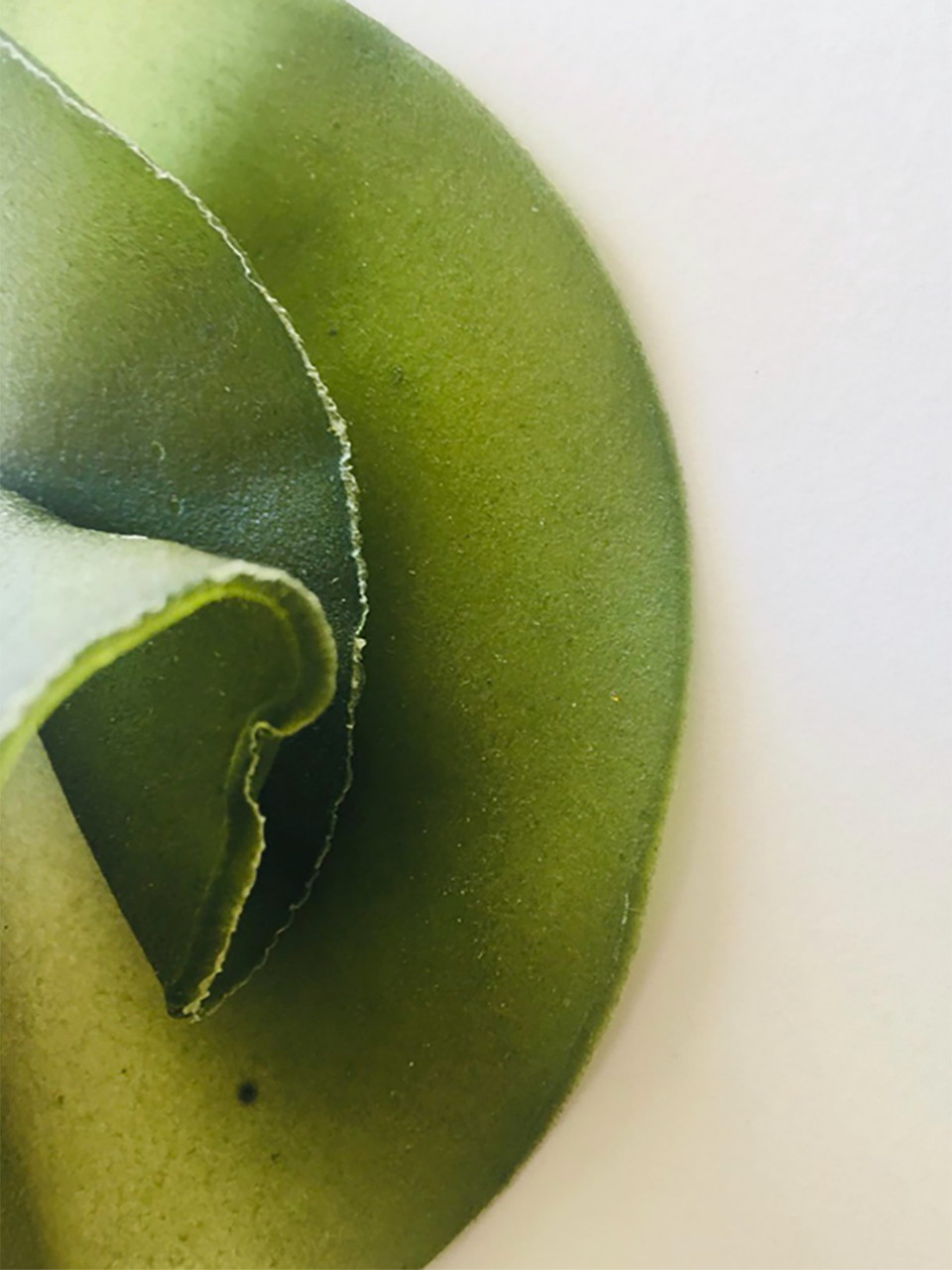 Otrivin AirLab ecoLogicStudio Bioplastic 2