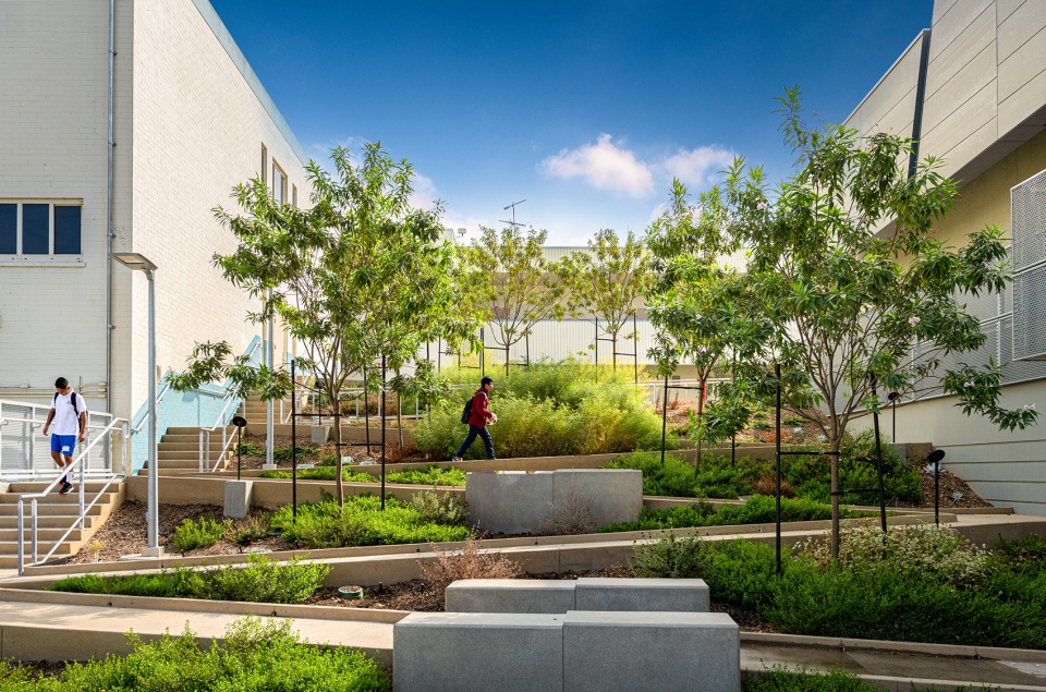 Berendo Middle School New Gymnasium Campus Modernization Los Angeles by CO Architects