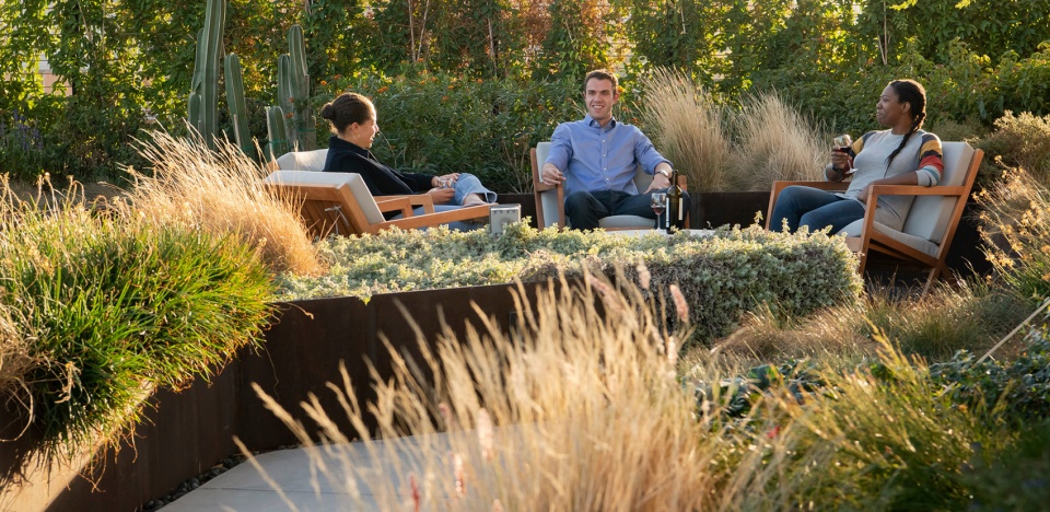 2021 asla residential design award of excellence the sky garden at 70 rainey design workshop inc