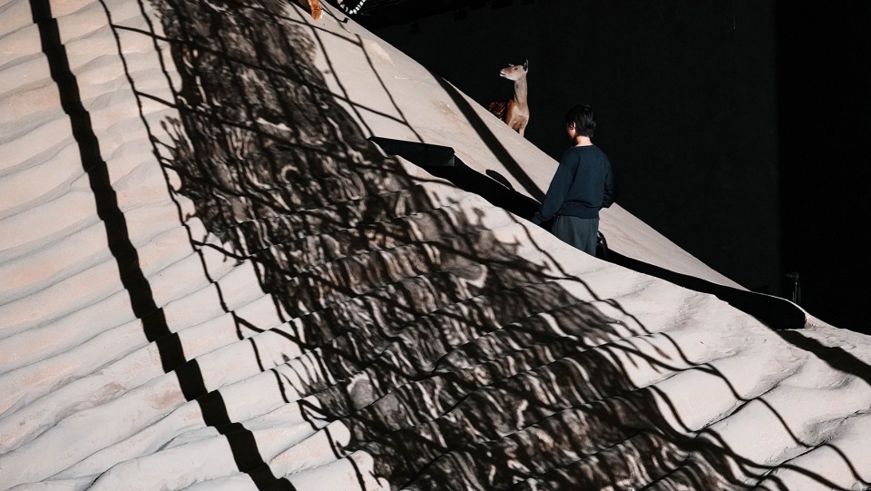 spatial design for wu jianan solo exhibition the huge sand dunes are the bed of the sea china by pills architects