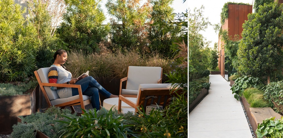 2021 asla residential design award of excellence the sky garden at 70 rainey design workshop inc