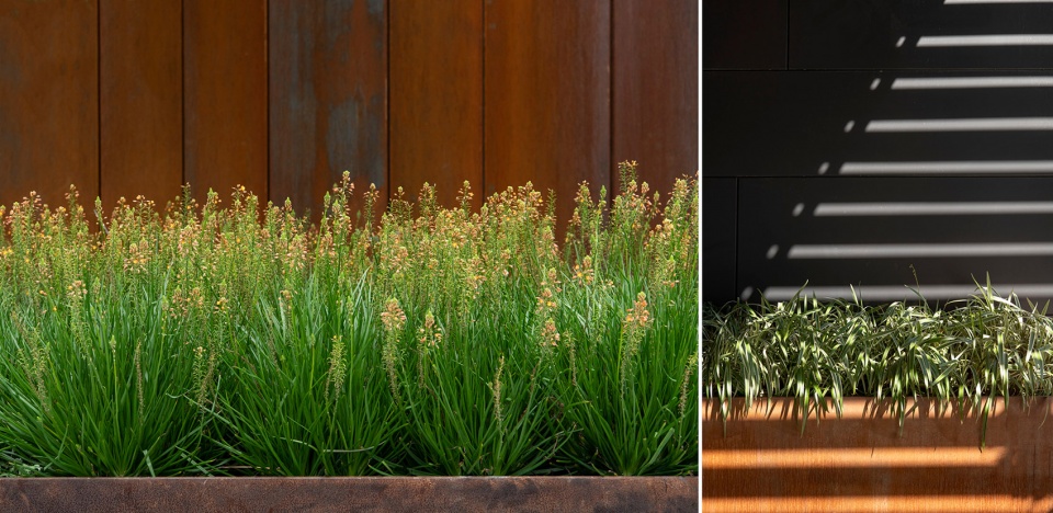 2021 asla residential design award of excellence the sky garden at 70 rainey design workshop inc