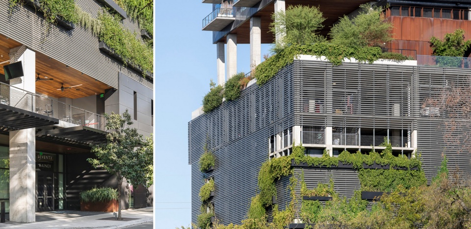 2021 asla residential design award of excellence the sky garden at 70 rainey design workshop inc