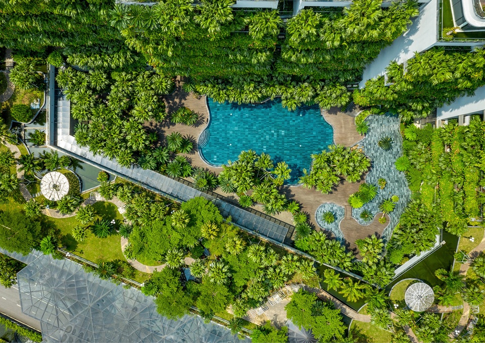 Forest In The Sky by Flamingo Architecture