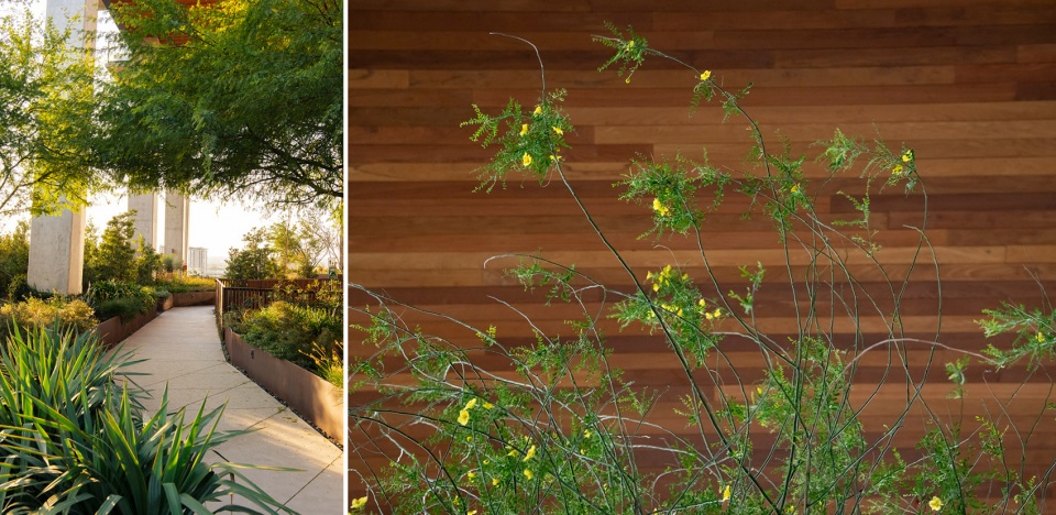 2021 asla residential design award of excellence the sky garden at 70 rainey design workshop inc