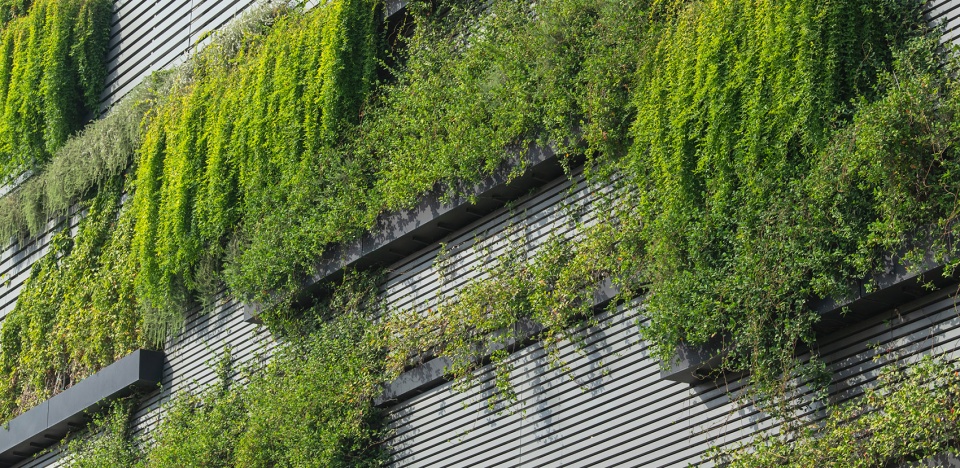 2021 asla residential design award of excellence the sky garden at 70 rainey design workshop inc