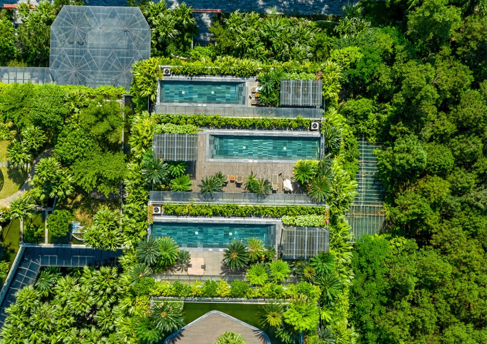 Forest In The Sky by Flamingo Architecture