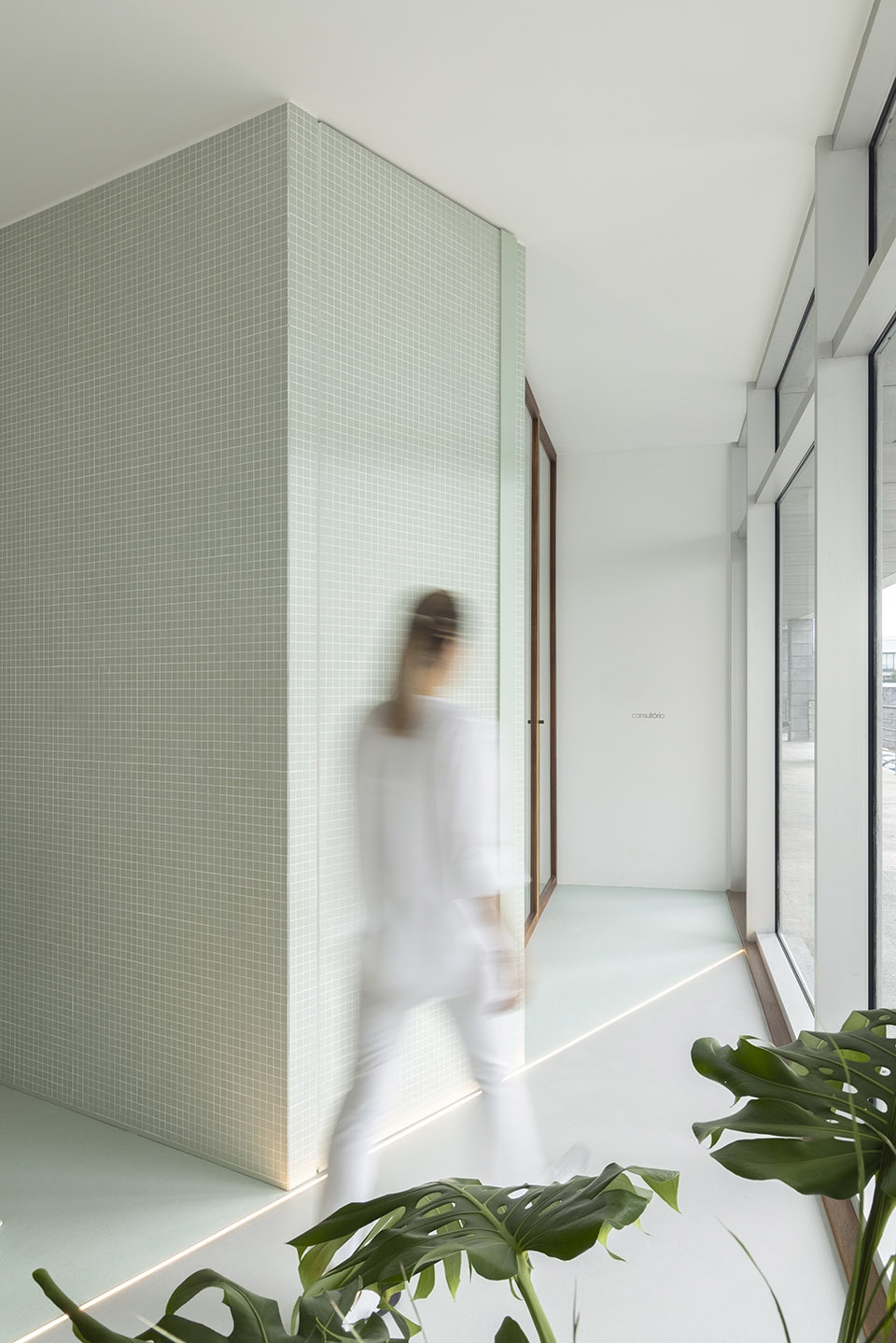 Think Health naturopathy by BOX arquitectos