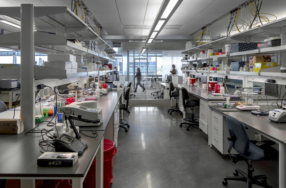 phoenix biomedical sciences partnership building by co architects