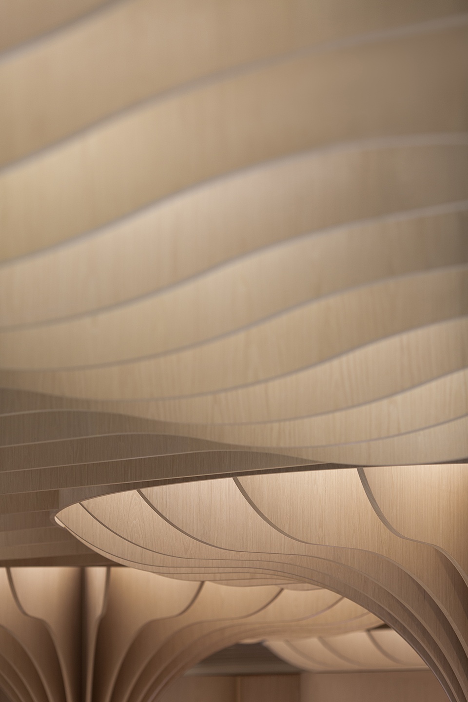 langham beauty china by linehouse