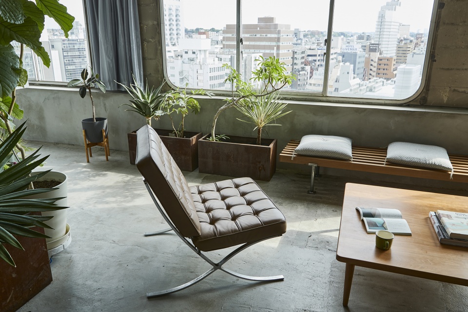 roovice office by roovice
