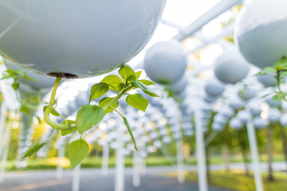 international garden festival 2022 adaptation