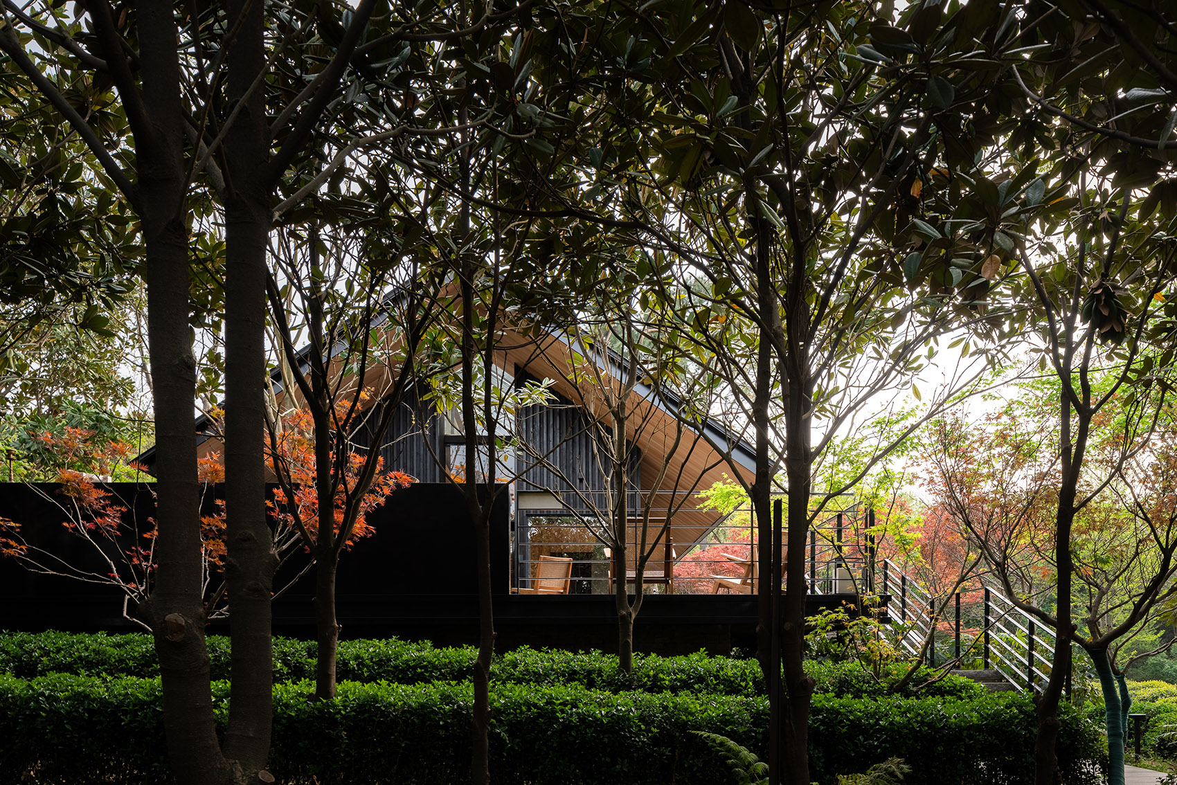 Forest tea house, China by MIX Architecture 谷德设计网
