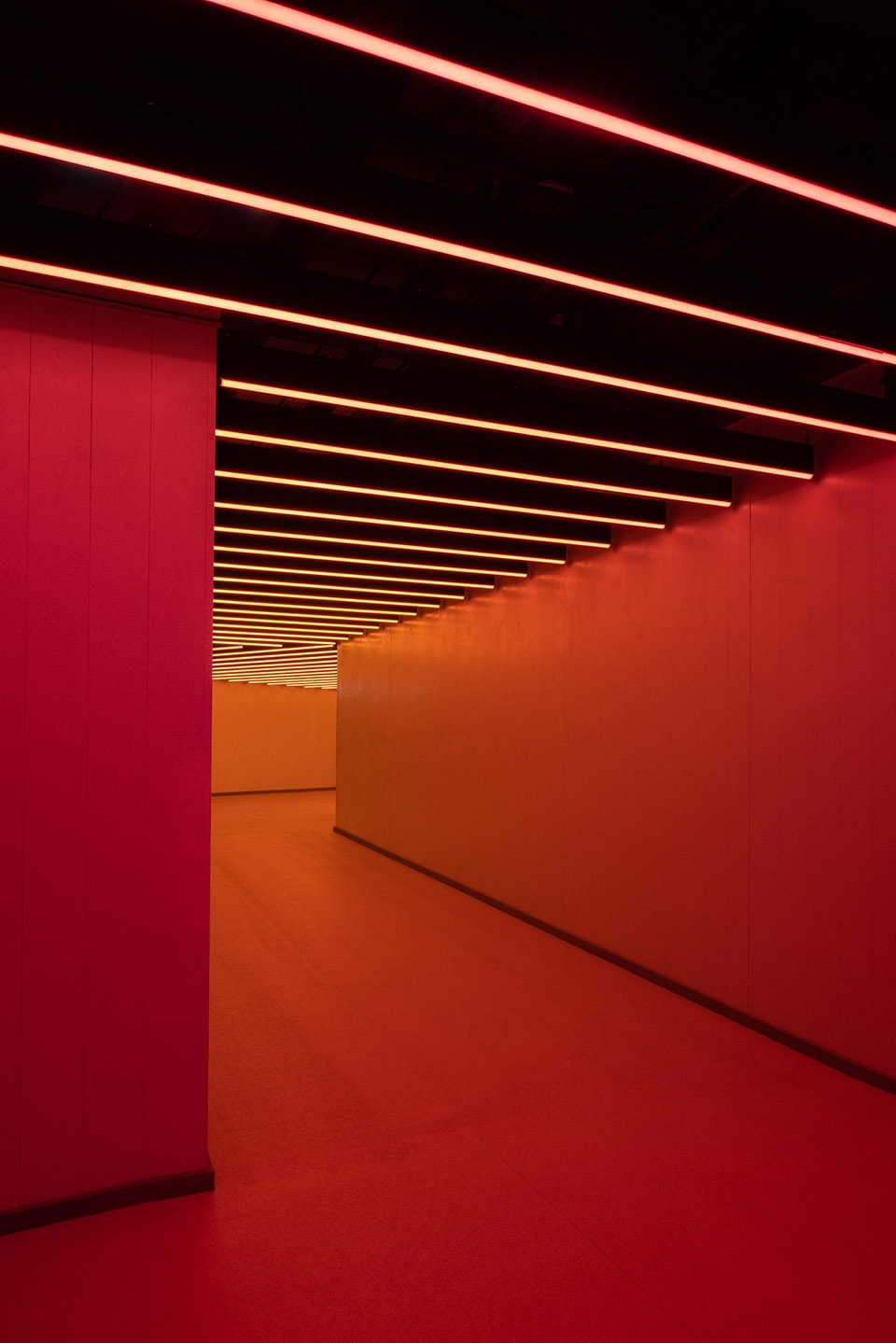 ABBA Arena Stufish Entertainment Architects