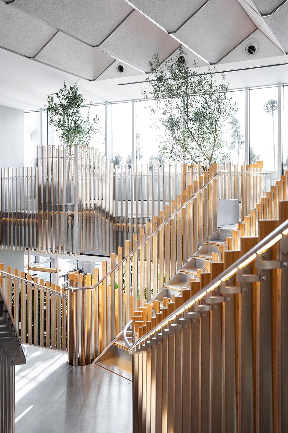 a garden up in the air