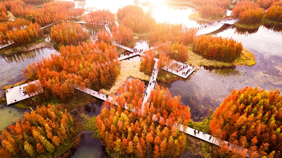 Fish Tail Park in Nanchang City Turenscape