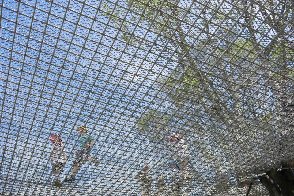 Shenzhen Pingshan Childrens Park WEi Studio
