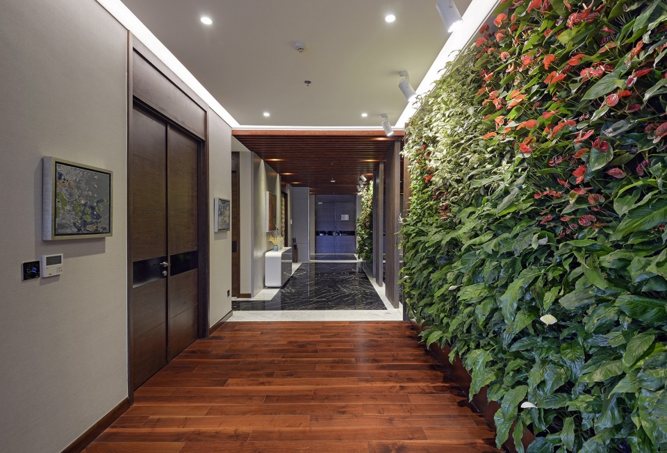 Forest In The Sky by Flamingo Architecture