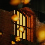 Wilmina酒店，柏林 / Grüntuch Ernst Architects