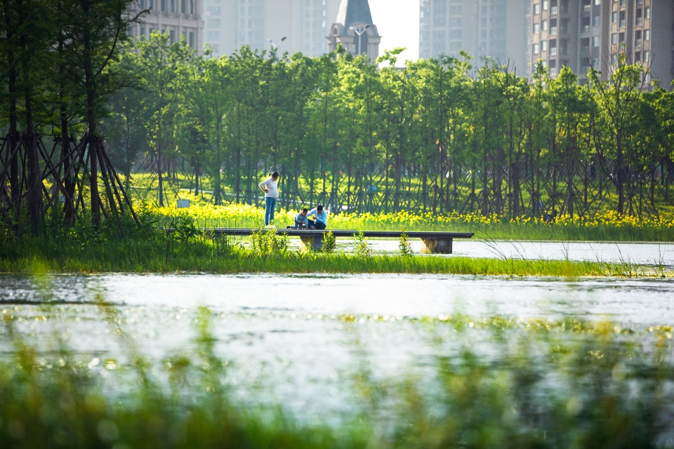 Fish Tail Park in Nanchang City Turenscape
