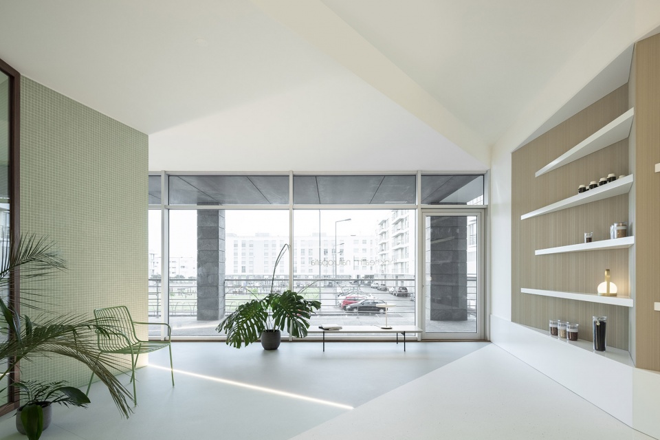 Think Health naturopathy by BOX arquitectos