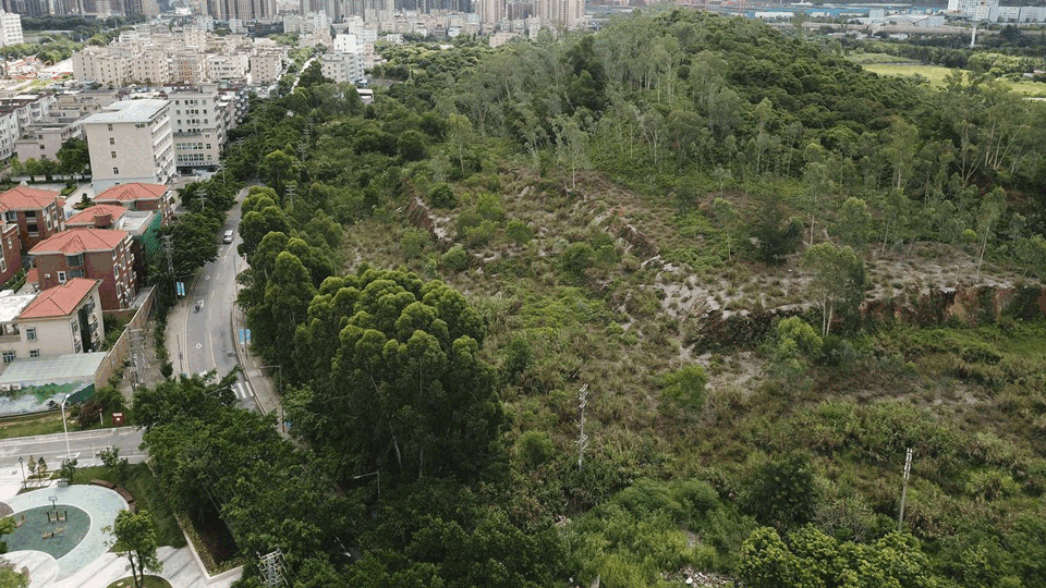 Shenzhen Pingshan Childrens Park WEi Studio