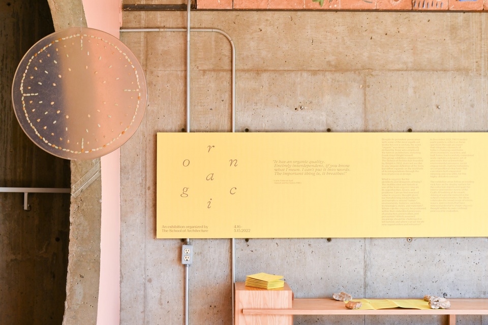 the school of architecture evolves immersive learning at arcosanti
