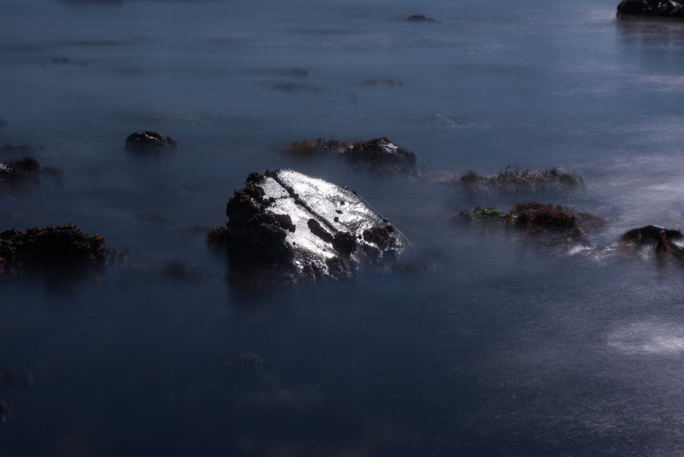 insula by alexis pichot