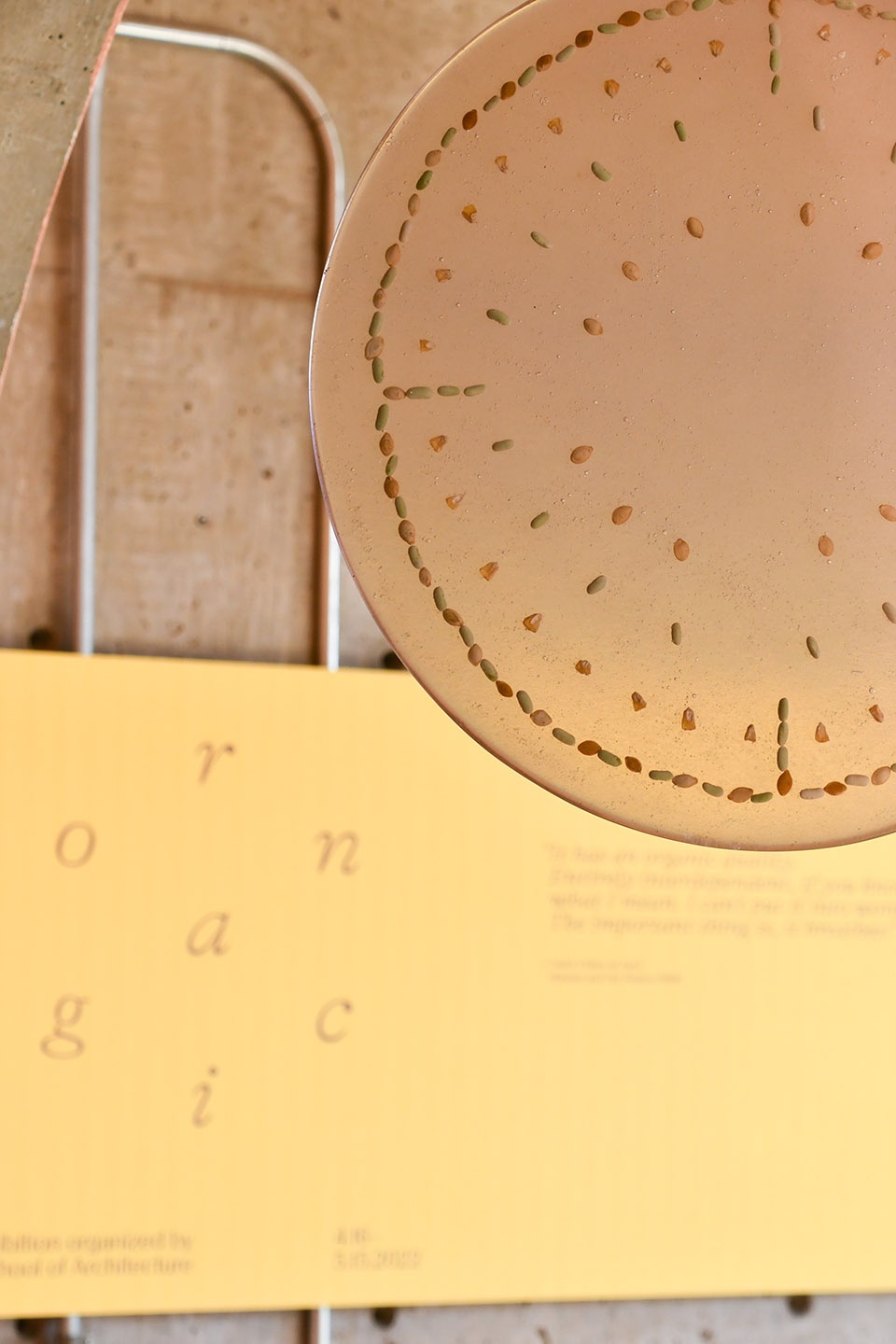 the school of architecture evolves immersive learning at arcosanti