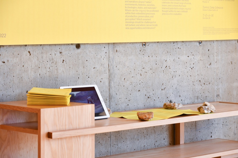 the school of architecture evolves immersive learning at arcosanti
