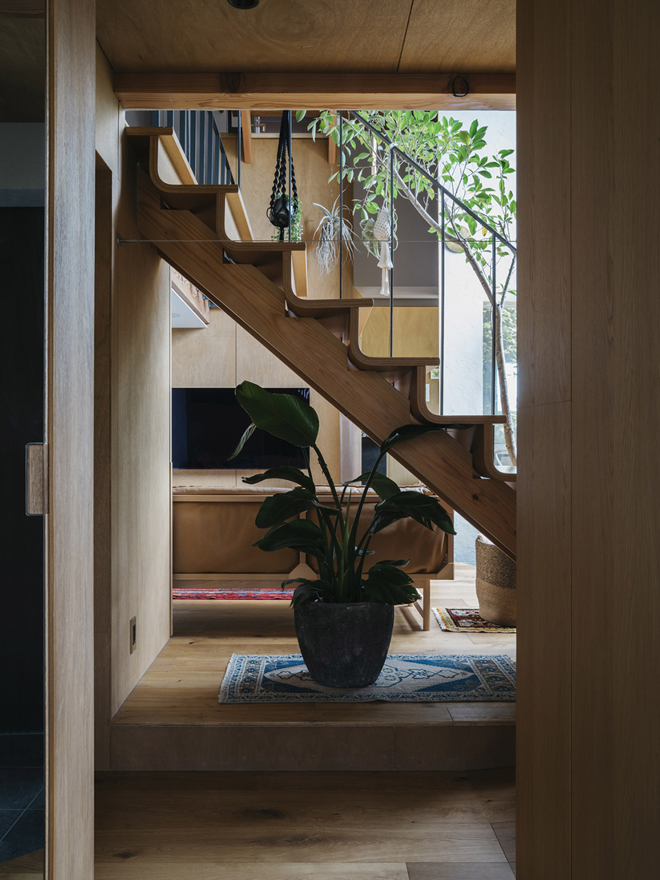 Nightingale House by Atsushi Kawanishi Architects 谷德设计网