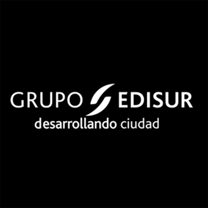 EDISUR GROUP