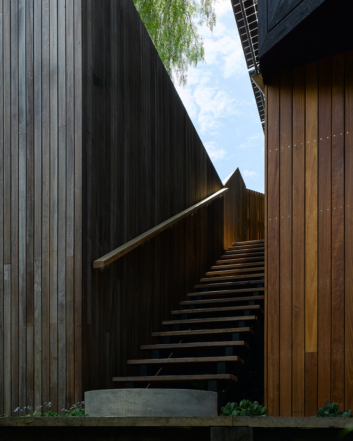 Pepper Tree Passive House by Alexander Symes Architect 谷德设计网