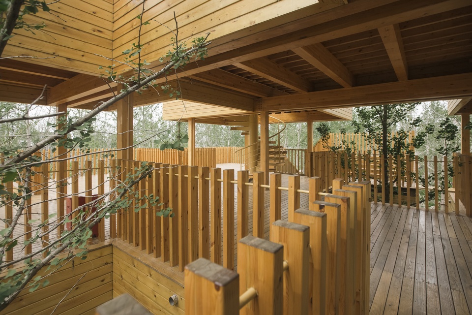 Ginkgo Forest Tea House China by MADAM Hexia Architects