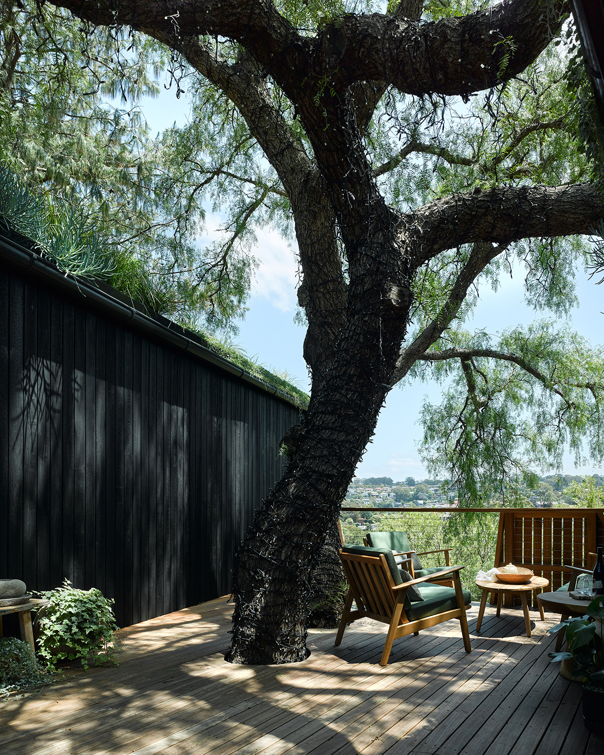 Pepper Tree Passive House by Alexander Symes Architect 谷德设计网